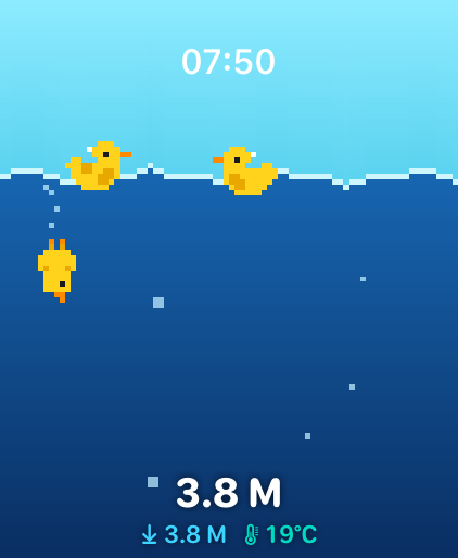 Rubber Ducks scene