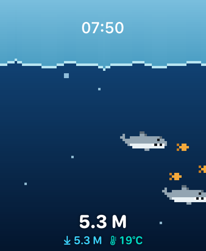 Sharks scene
