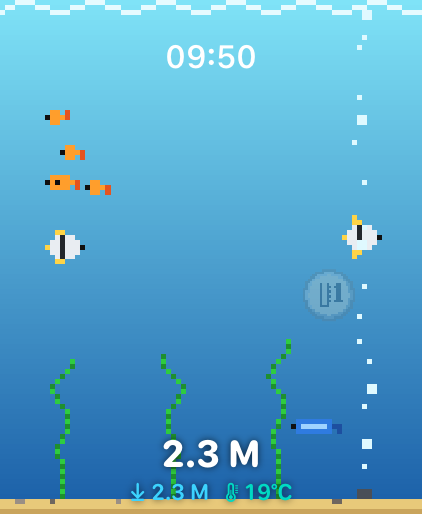 Aquarium scene