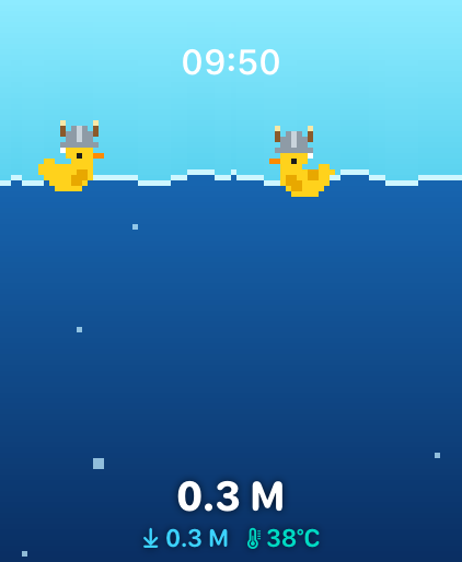 Ducks wearing an earned viking helmet
