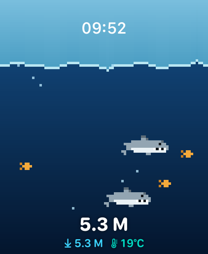 Sharks scene